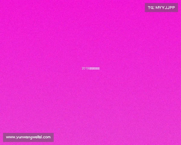 2019香港赛马风云录